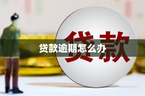 政和贷款逾期怎么办
