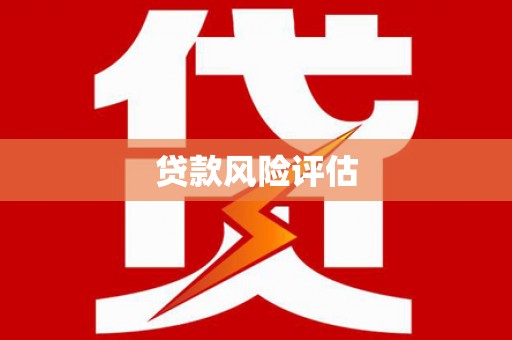 政和贷款风险评估