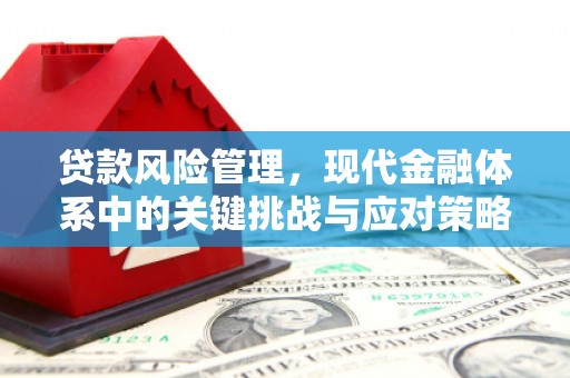 政和贷款风险管理，现代金融体系中的关键挑战与应对策略