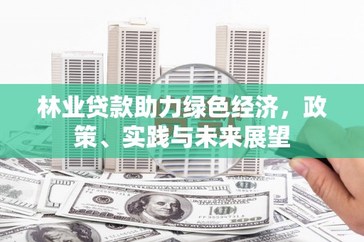 政和林业贷款助力绿色经济，政策、实践与未来展望