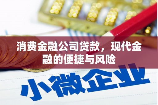 政和消费金融公司贷款，现代金融的便捷与风险