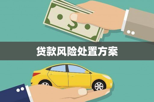 政和贷款风险处置方案